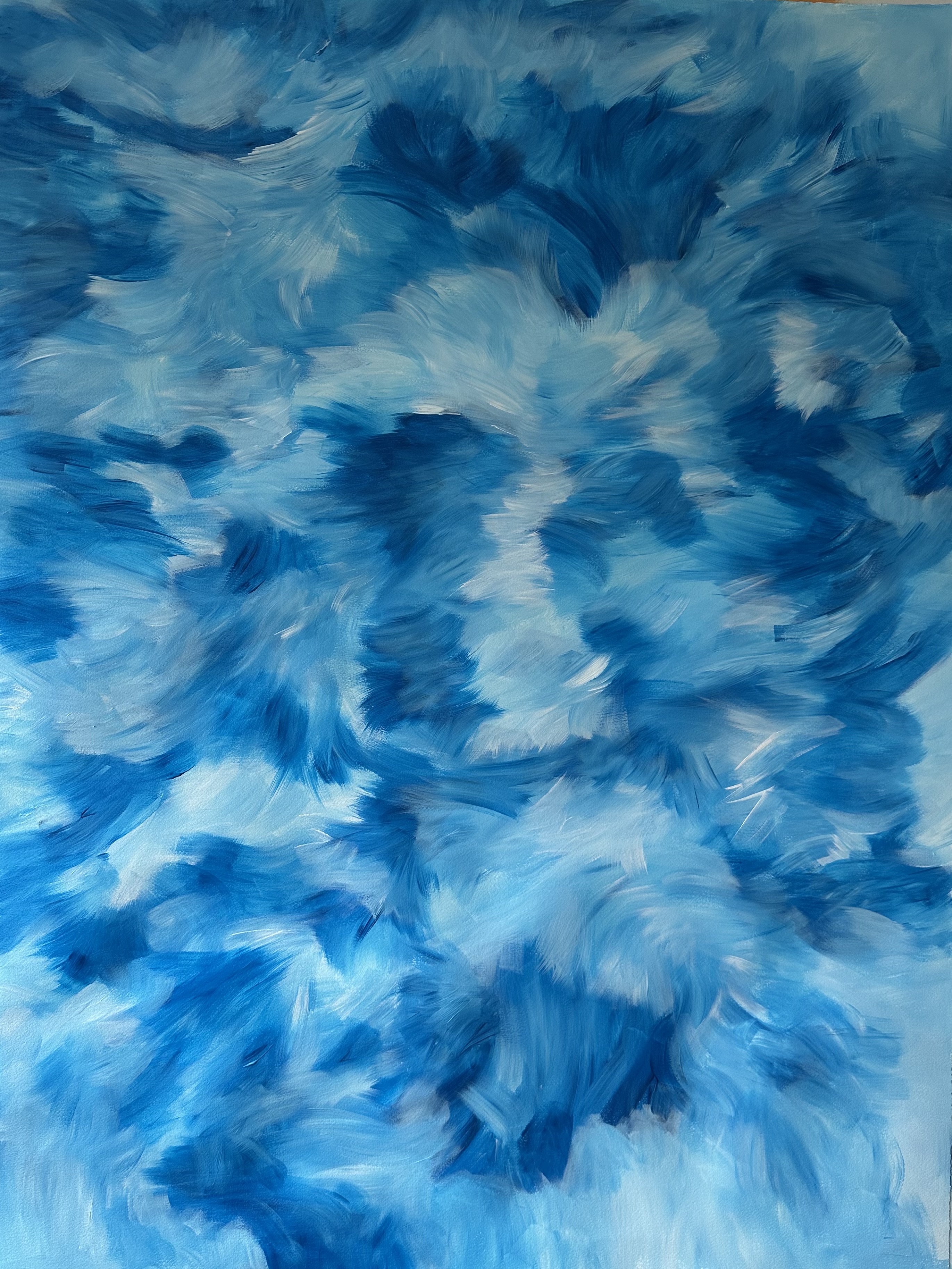 Feathers of the Sky by Rose Pappalardo